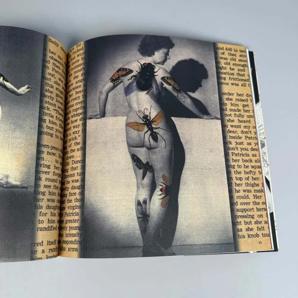 Blab! Vol 11 Book Cover Art The Butcher Bunny Mark Ryden Softcover 2000